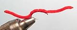 San Juan Worm Color: Red; Size: 12