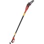 Factory-Reconditioned Homelite ZR43160 6 Amp Electric Pole Chain Saw