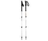 Black Diamond - Trail Trekking Poles (2009)