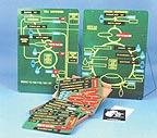 SciEd Teaching Cell Respiration