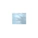 Nunc Thermanox Sterile Cover Slips, 13mm Diameter (Case of 500)