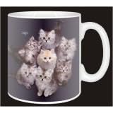 NEW-KITTENS+DRAGONFLY Coffee MUG