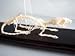 C and A Scientific 51012-U Rat Skeleton44; Unmounted