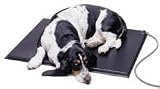 Pet Supplies : K&H Manufacturing Lectro-Kennel Heated Pad 22.5" x 28.5"