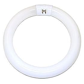 GE 33774 Cool White 8-Inch Diameter Circline Fluorescent T9 Bulb, 22-Watt by General Electric