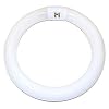 GE 33774 Cool White 8-Inch Diameter Circline Fluorescent T9 Bulb, 22-Watt