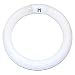 GE 33774 Cool White 8-Inch Diameter Circline Fluorescent T9 Bulb, 22-Watt