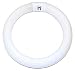 GE 33774 Cool White 8-Inch Diameter Circline Fluorescent T9 Bulb, 22-Watt