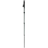 Gitzo GM2541 Series 2 6X Carbon Fiber Monopod 4 Section with G-Lock - Replaces GM2540 (Black)