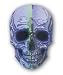 Dart Flight Broken Glass 3656 FREE SHIPPING