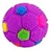 Puffer Ball - Rainbow(Primary Color May Vary)