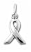 Awareness Ribbon Sterling Silver Mini Charm (25 title=