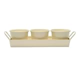 Set 3 PLANT or HERB POTS on a TRAY in CREAM