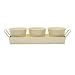 Set 3 PLANT or HERB POTS on a TRAY in CREAM