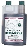 Corta Flex Equine Rx w/HA Solution - gal