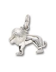 Rembrandt Charms Lion Charm
