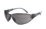 Arbeitsschutz-Brille Arty FL 260 smoke, SB-Pack