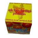 Tropical Glam Phisalis Soap Bar 5.3oz bar by Nesti Dante