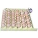 Gqf Mfg Co Auto Egg Turner W/Racks 1611