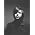 Vignette de Ryan Adams