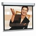 Projecta Elpro RF Electrol - 180 cm 4:3