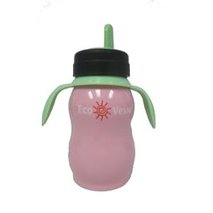 Eco Vessel Insulated Kids Stainless Steel Sippy Bottle / Cup with handle (8 Ounces)