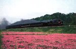 1000ピース 山陰ゆく貴婦人(山口)