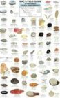 Mac's Field Guide to Northwest Coastal Invertebrates (Mac's Field Guides)