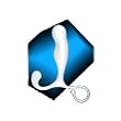 Aneros Maximus Prostate Massager