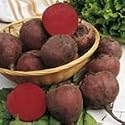 SUTTONS SEEDS: Organic Beetroot Detroit 2 Seeds (200 seeds) Alan Titchmarsh Range