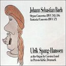 Organ Concertos / Fantasia Concerto in G Major