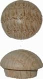 7/16 IN Oak Screw Hole Buttons
