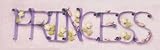 Fairy Princess METAL WALL ART girls room home decor NEW writing script cursive saying