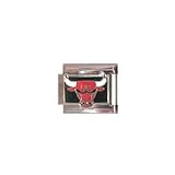 Clearly Charming Chicago Bulls National Basketball Association NBA Italian Charm Fully Licnesed ProCharm