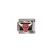 Clearly Charming Chicago Bulls National Basketball Association NBA Italian Charm Fully Licnesed ProCharm