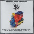 Revue Natural Born Grooves  / Transylvanian Express