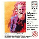 Brahms: Piano and Chamber Music