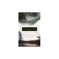An Imaginary Life