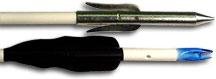 Buy CAJUN ARCHERY STING-A-REE FISHING ARROW by CAJUN ARCHERY INC