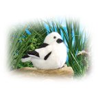 Buy Wild Republic Bb Bird Snow Bunting 5 by Wild Republic