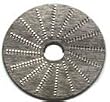 Omega Juicer Cutter Blade / Shredder Plate - Model 1000 & 9000