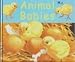 Search : Animal Babies Children will love to learn Flip the Flap
