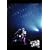 �e�����\�� in ������~�t�u���[�X������~ [DVD]