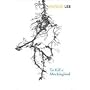 To Kill a Mockingbird (Vintage Classics)