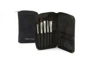 Colorescience Pro On the Go Brush Set 6 piece
