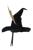 Officially Licensed Harry Potter Costume Professor McGonagall Hat