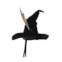 Officially Licensed Harry Potter Costume Professor McGonagall Hat