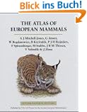 The Atlas