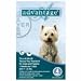 Advantage 4pk Dog Teal 11-20 Lbs