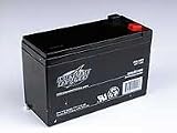12V 7.2Ah Sealed Lead Acid Battery / .250 Size Terminals